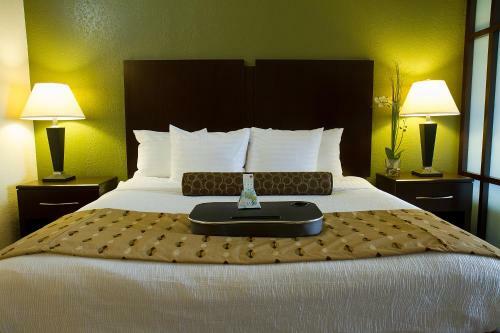 Best Western Plus Antioch Hotel & Suites