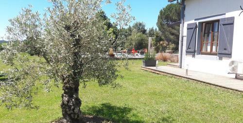 La Belle Landaise 1809 G�te Arridoulet 2