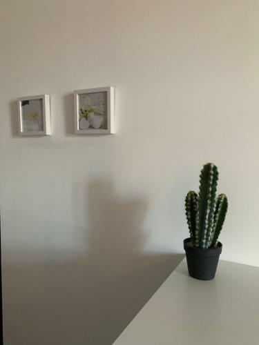 Apartamento Beau T4 Hyper Centre Avec Parking