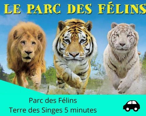 Suite Spatio - Jacuzzi Priv� - 20min Disneyland Paris