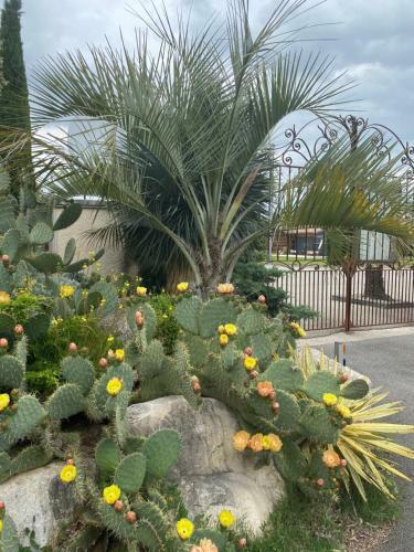 Hotel Nature Le Loft