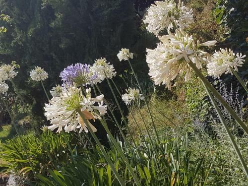 Bed & Breakfast La Villa Guidi