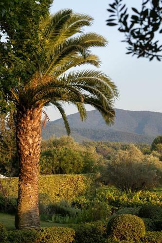 Villa Bastide Barbeiranne