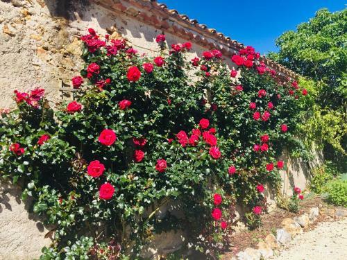 Lamamotte Gite Holiday Home