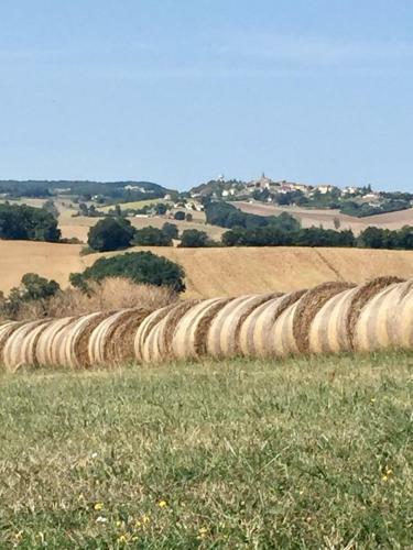 Lamamotte Gite Holiday Home