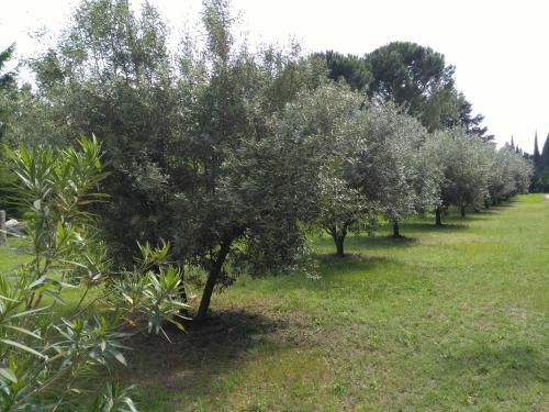 Bed & Breakfast R�ve D?emma