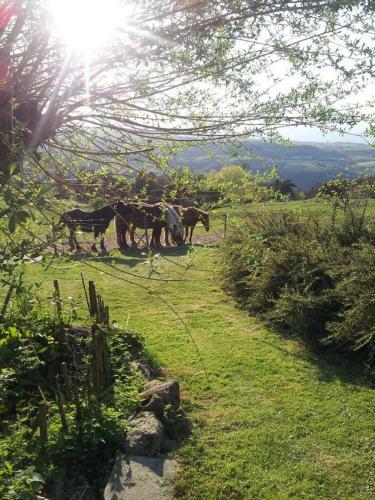 Hostal Ferme de La Bonnefontaine