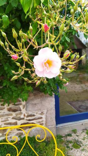 Bed & Breakfast Ker Anahid - L'atelier