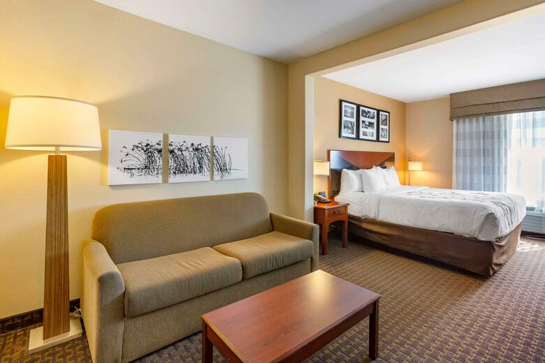 Garner Hotel Idaho Falls Southwest, By Ihg