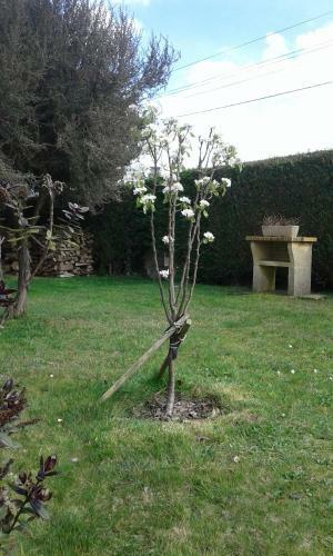 Apartamento La Lande Romaine