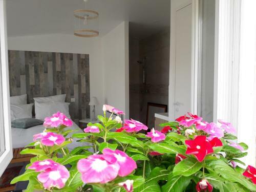 Bed & Breakfast Escale En Baie.