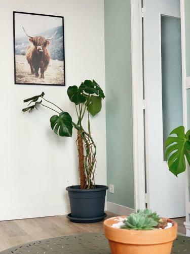 Apartamento T2 Moderne Au C?ur Poitiers