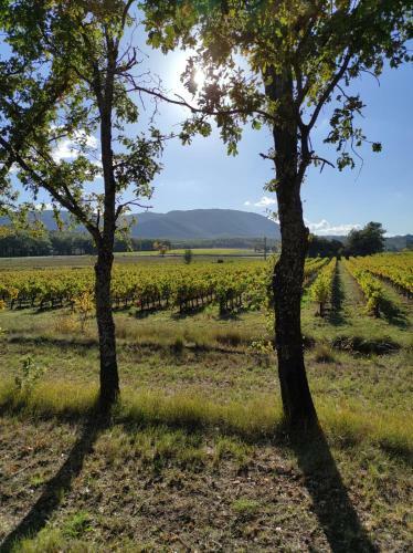 Bed & Breakfast Suite Privative Au C?ur de La Provence