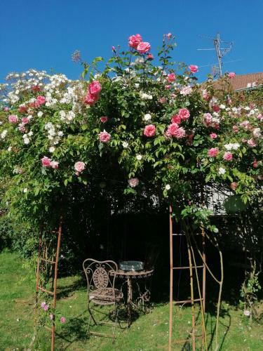 Bed & Breakfast Chambre D'h�tes Les Magnolias