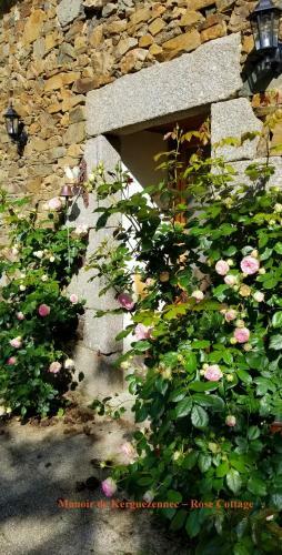 Rose Cottage