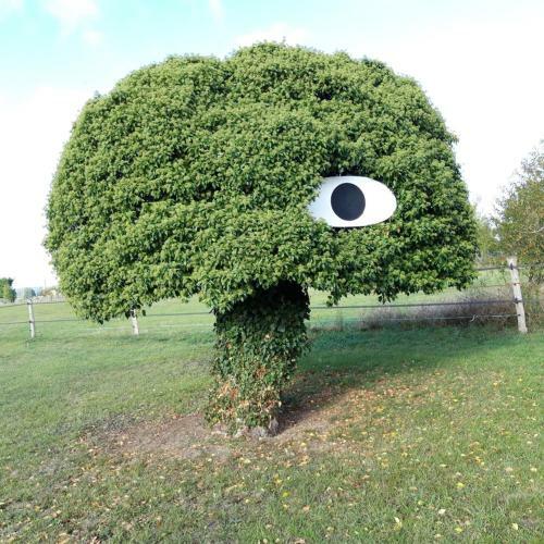 Gite Dans Parc de Sculptures - G�te "pondichery"