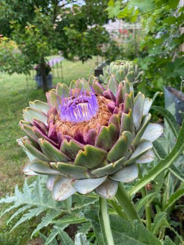 Bed & Breakfast C�line Et Olivier