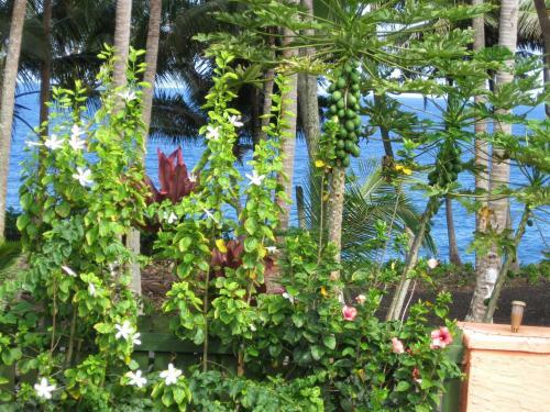 Oceanfront Cottage At Kehena Beach