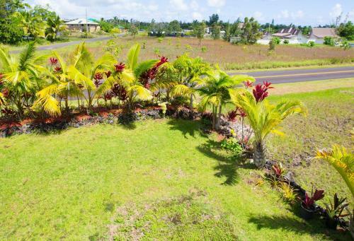 Coconut Palms Three Bedroom House By Kehena Beach
