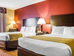 Hotel Comfort Inn & Suites