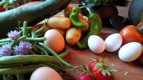 Bed & Breakfast La Petite Ferme de Pouillon