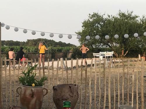 Au Coeur Des Vignes