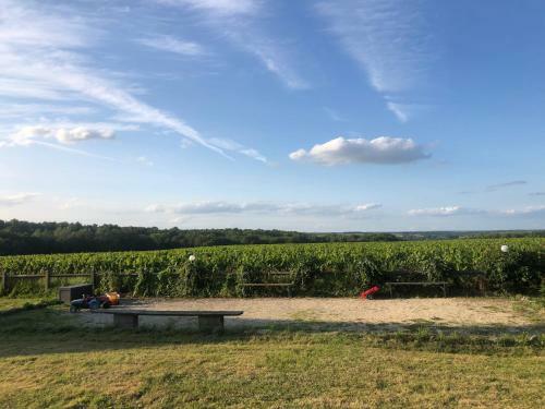 Au Coeur Des Vignes