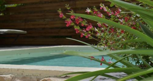 Hostal La Maison Bourgeoise