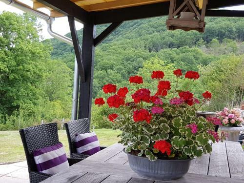 Bed & Breakfast Chalets Lavaux