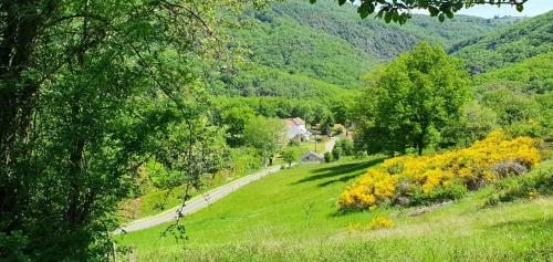 Bed & Breakfast Chalets Lavaux