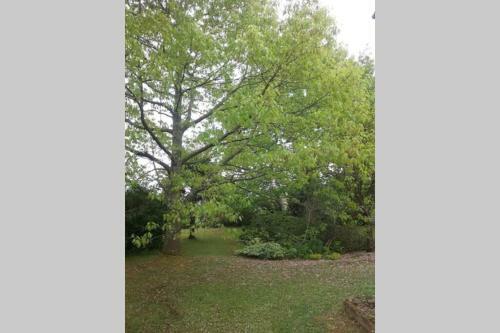 Villa Maison de Charme, Pyr�n�es, Jardin, Piscine