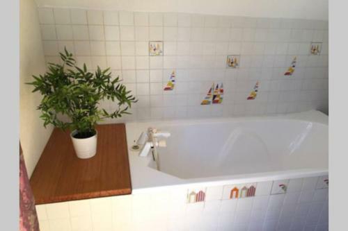 Villa Maison de Charme, Pyr�n�es, Jardin, Piscine