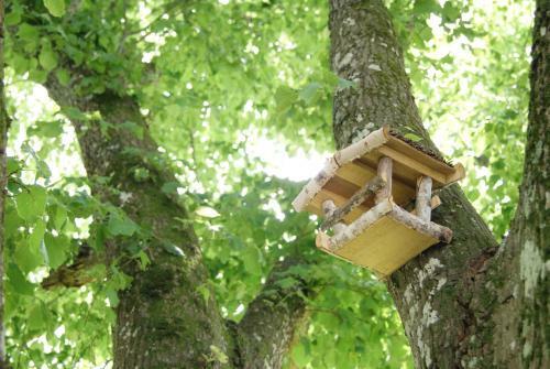 Bed & Breakfast Les Cabanes de Gros Bois
