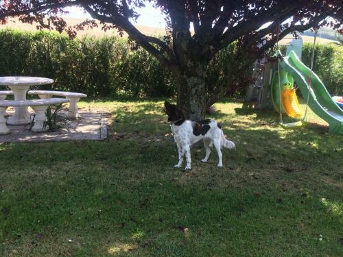 Apartamento La Long�re Champenoise