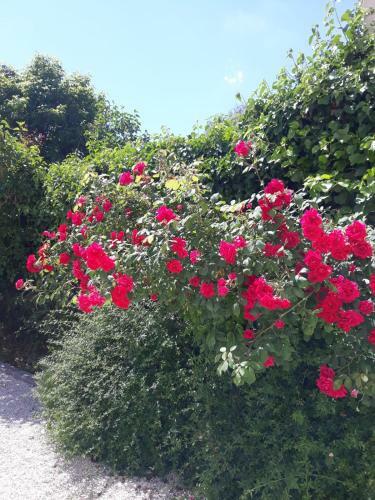 Hostal Cot� Remparts