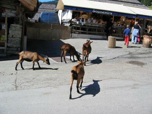 Bed & Breakfast Entre Alpes Et L�man