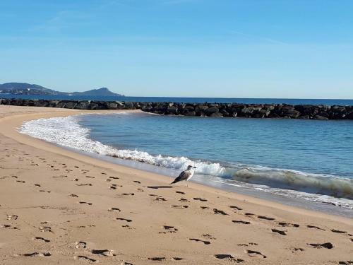 Escapade En Provence, Bord de Mer � 10 Minutes