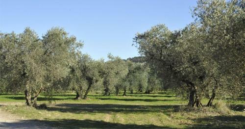 Bed & Breakfast Domaine Sainte Suzanne