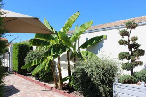 G�te Fleur de Sable La Rochelle