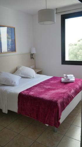 Hotel H�tel Le Porto-vecchio