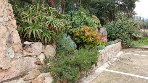 Hotel H�tel Le Porto-vecchio
