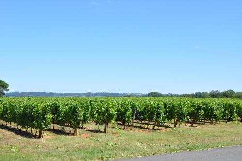 Bed & Breakfast Chambre D'h�tes Sauternais