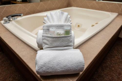Hotel Ridgway Lodge And Suites