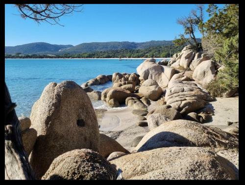 Apartamento Studio Neuf Croix Du Sud � Porto Vecchio