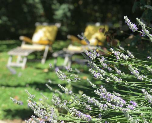 Bonnes Saisons G�te