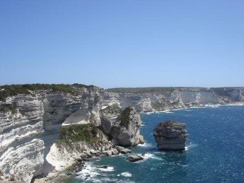 Apartamento Appartement La Perle Du Valinco