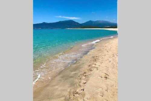 Apartamento Location Appartement Propriano