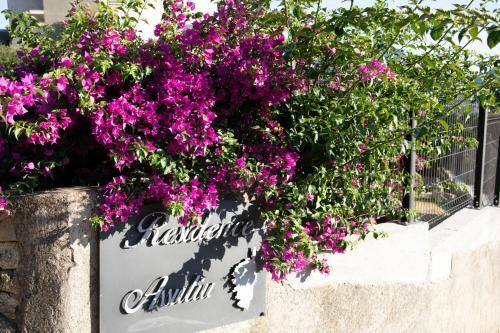 R�sidence Assuliu