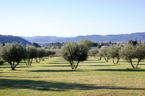 Hostal Gites Le Clos Des Oliviers