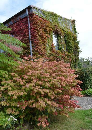 Hostal Jardin de Belle Vue